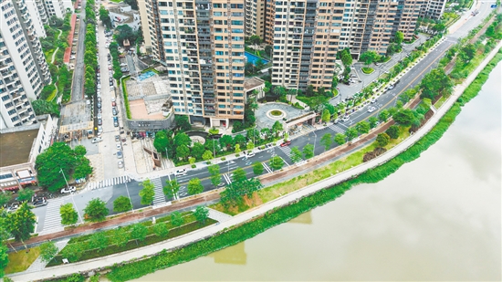 實(shí)施改造工程后，桂香路變?yōu)殡p向兩車道，并鋪上瀝青罩面，讓車輛通行更加順暢。