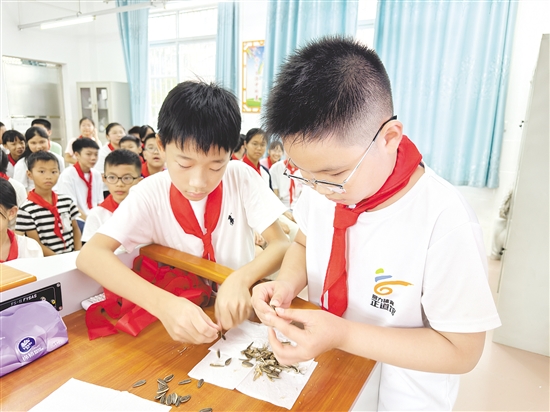 學(xué)生們兩兩配合，立即切換成“剝瓜子高手”模式。
