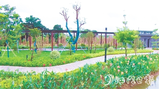 沙東村的村容村貌煥然一新。