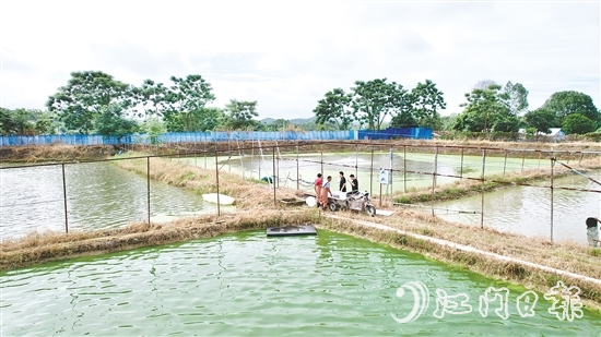 養(yǎng)殖基地毗鄰鶴城鎮(zhèn)三堡河，水源充沛，水質(zhì)優(yōu)良。