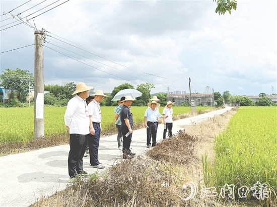 人大代表們到石青村視察典型村建設(shè)情況。
