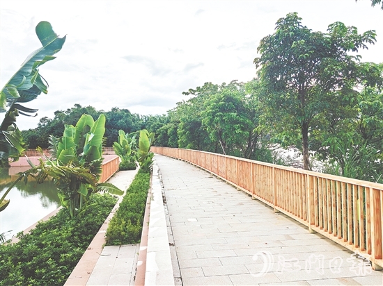 在紅衛(wèi)島堤防達(dá)標(biāo)加固工程的加持下，環(huán)島休閑漫步道建設(shè)持續(xù)推進(jìn)。