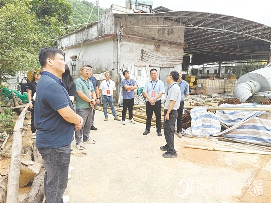 大江鎮(zhèn)人大代表走訪調(diào)研民生實事項目，廣泛收集民意。