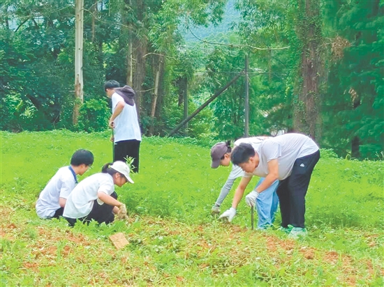 隊(duì)員們?cè)谔镩g進(jìn)行除草工作。