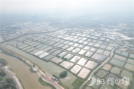 古勞鎮(zhèn)大埠村實行“股票田改革”，帶動村集體經(jīng)濟(jì)蓬勃發(fā)展，村民以田入股實現(xiàn)穩(wěn)定增收。