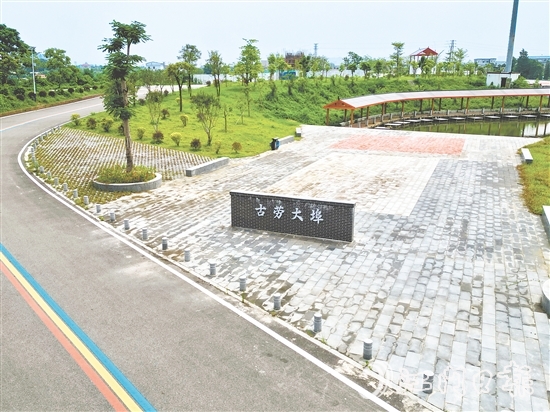 古勞鎮(zhèn)大埠村開展“三綠行動(dòng)”，推動(dòng)鄉(xiāng)村綠化工作走深走實(shí)。