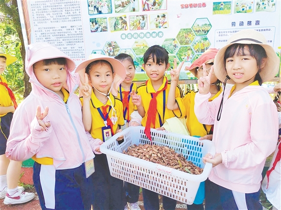 學(xué)生采摘花生，感受豐收的喜悅。