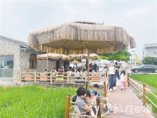 牛江鎮(zhèn)牛欄咖啡吸引諸多游客前來打卡。