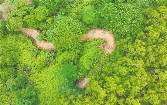 在恩平，可以一邊騎行，一邊欣賞美景。