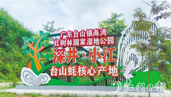 深井鎮(zhèn)小江村是國(guó)家地理標(biāo)志農(nóng)產(chǎn)品“臺(tái)山蠔”核心產(chǎn)區(qū)、蠔苗養(yǎng)殖主產(chǎn)區(qū)，也是廣東臺(tái)山鎮(zhèn)海灣紅樹(shù)林國(guó)家濕地公園東北入口。