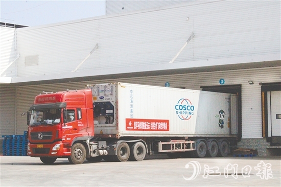 在廣東供銷（江門恩平）天業(yè)冷鏈物流產(chǎn)業(yè)園的支持下，恩平馬鈴薯實現(xiàn)出口外銷、錯峰銷售。