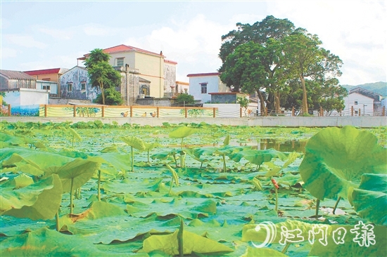 從產(chǎn)業(yè)協(xié)同到生態(tài)蝶變，從設(shè)施完善到文化繁榮，川島鎮(zhèn)甫草村甫草村以資源稟賦為基，展現(xiàn)新變化。