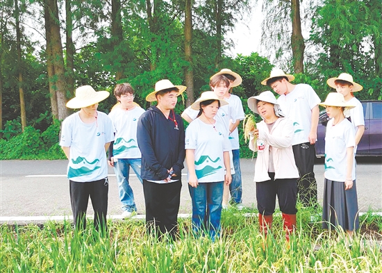 李蘇紅為隊(duì)員們介紹水稻生長各個環(huán)節(jié)的特點(diǎn)與注意事項(xiàng)。