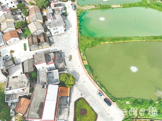 整治后的荔枝園村村道。