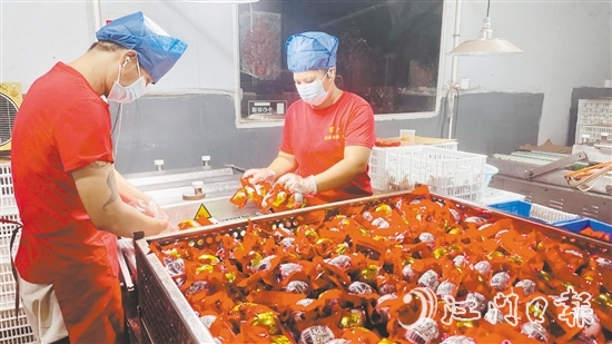 赤水鎮(zhèn)依托麻鴨養(yǎng)殖傳統(tǒng)優(yōu)勢，錨定“精深加工”做文章。