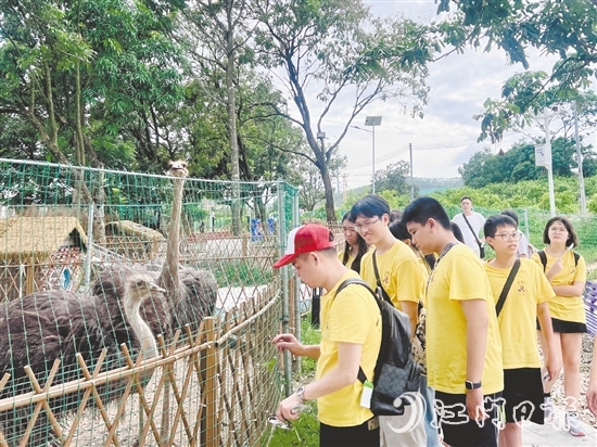 鳳鄉(xiāng)玉懷民宿打造的體驗(yàn)項(xiàng)目，吸引不少青少年前來(lái)參觀。