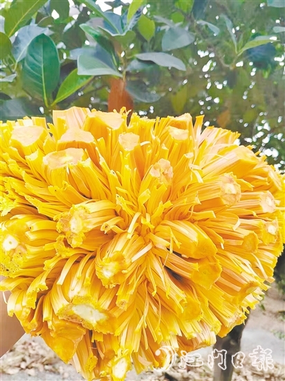 紅肉菠蘿蜜果實(shí)清香、口感脆甜且營(yíng)養(yǎng)價(jià)值高。