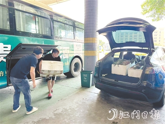 公交車司機(jī)及時(shí)將農(nóng)產(chǎn)品運(yùn)送至鶴山汽車總站，交由鶴山市供銷社工作人員分撥至合作商超與社區(qū)自提點(diǎn)等。