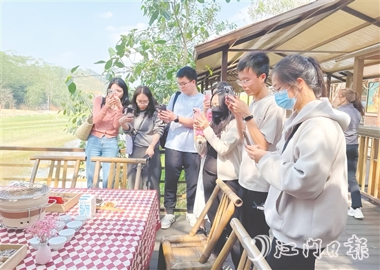 今年3月，開平市組織市重點自媒體走進(jìn)大沙鎮(zhèn)開展花海茶田系列采風(fēng)活動。
