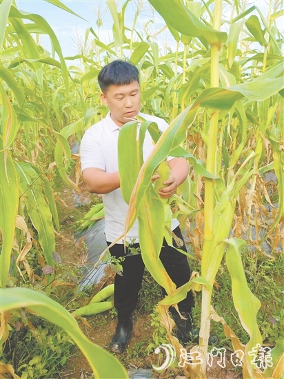 吳偉光的故事是新時(shí)代青年扎根鄉(xiāng)土的生動(dòng)注腳，也是鄉(xiāng)村振興大潮中萬千返鄉(xiāng)青年拼搏奮進(jìn)的真實(shí)寫照。