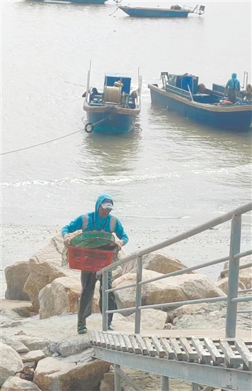 等到漁船靠岸，你可以在漁民處買到各種新鮮海鮮。