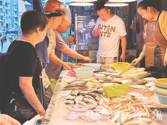 肥美的時(shí)令海鮮大量上市，價(jià)格較休漁期有所下降，吸引眾多游客、市民搶購嘗鮮。