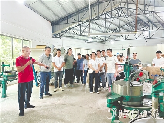 參訓人員了解制茶關(guān)鍵環(huán)節(jié)。