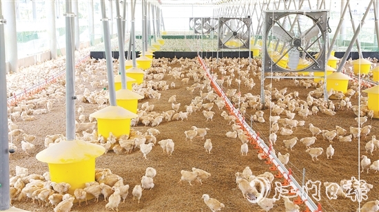 智能化管理系統(tǒng)全方位改善養(yǎng)殖環(huán)境，實現(xiàn)科學養(yǎng)殖。