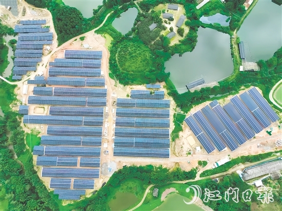 光伏板發(fā)的電不僅滿足養(yǎng)雞場自身需求，還能并入電網(wǎng)，產(chǎn)生經(jīng)濟效益。