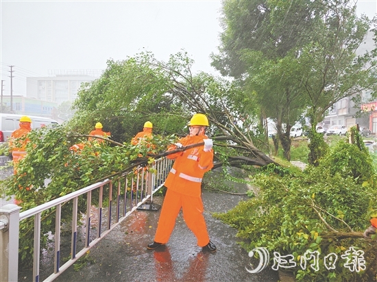 工作人員冒著風雨作業(yè)，清理倒伏樹木。