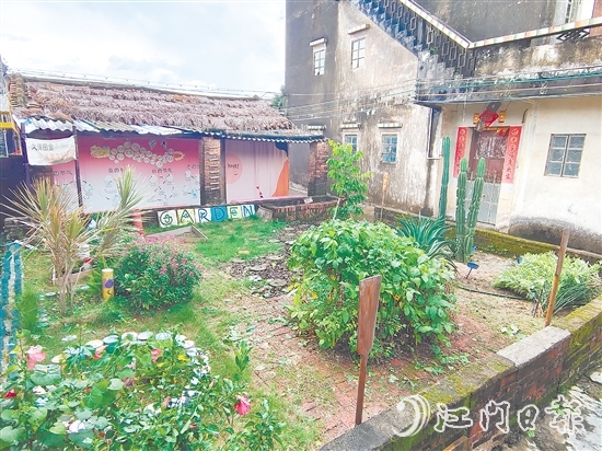 郭一芳家的庭院用沙地植物打造而成，形成層次分明的生態(tài)景觀。