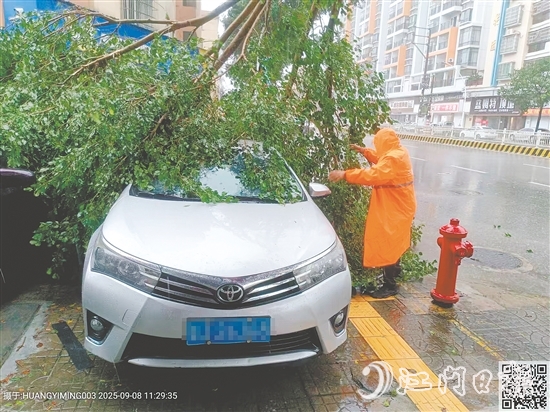 平安產(chǎn)險(xiǎn)查勘員在巡查中看到一輛汽車被倒下的大樹壓住，馬上聯(lián)系車主并協(xié)助清理。