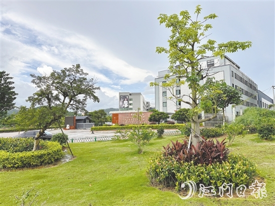 口袋公園不僅為社區(qū)拓展了綠色空間，更成了居民茶余飯后的休閑新去處。