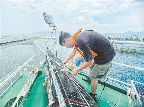 工作人員對“臺山1號”的太陽能板進行加固。