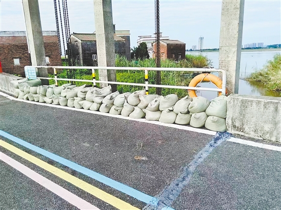 臺山市大江鎮(zhèn)重點通過堆疊防汛沙包，對轄區(qū)江邊所有易漫水口進行逐一封堵、壓實，切實將臺風可能引發(fā)的江水漫溢風險降至最低。李嘉敏