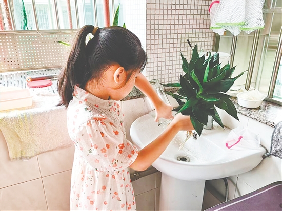 豐樂小學(xué)學(xué)生清理家里花瓶的積水。