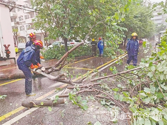 江南街道工作人員清理倒伏樹木。