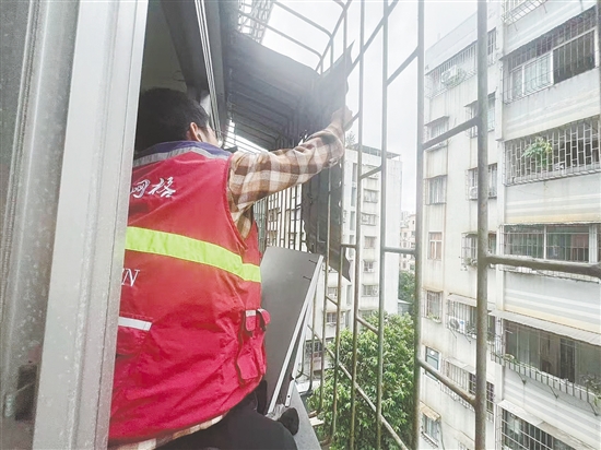 蓬江區(qū)育德社區(qū)網(wǎng)格員協(xié)助屋主及時(shí)將松動(dòng)的鐵皮擋雨板拆下，消除安全隱患。任佳燕