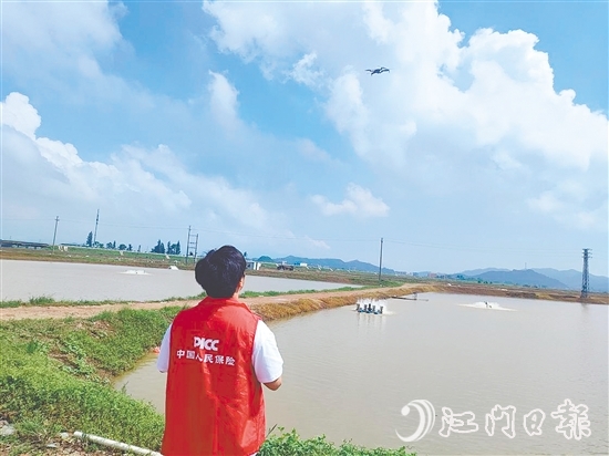 江門(mén)人保財(cái)險(xiǎn)工作人員現(xiàn)場(chǎng)開(kāi)展前置性風(fēng)險(xiǎn)排查與防護(hù)指導(dǎo)。