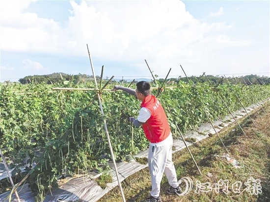 江門(mén)陽(yáng)光農(nóng)險(xiǎn)工作人員指導(dǎo)農(nóng)戶做好田間排水、加固農(nóng)業(yè)設(shè)施等準(zhǔn)備。