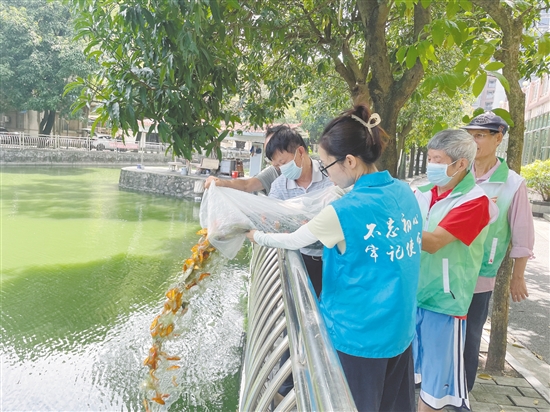 大家協(xié)力將“滅蚊魚”投放到甘化新村的人工湖。