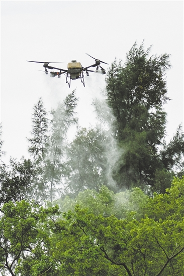 無(wú)人機(jī)在滅蚊防疫攻堅(jiān)戰(zhàn)中大顯身手。圖為鶴山采用無(wú)人機(jī)精準(zhǔn)開(kāi)展滅蚊工作。