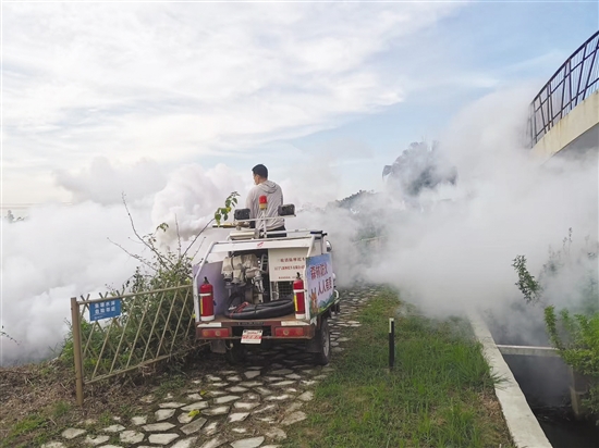 開(kāi)平市塘口鎮(zhèn)通過(guò)多種方式應(yīng)用煙霧機(jī)滅蚊。圖為煙霧機(jī)搭配農(nóng)用車對(duì)蚊蟲(chóng)進(jìn)行滅殺。