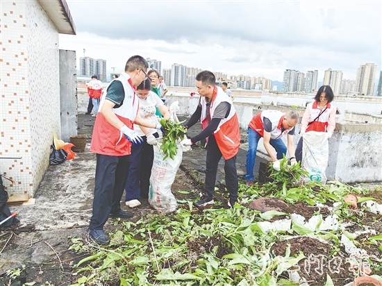 黨員干部在老舊居民樓頂清理廢棄花盆、雜物、亂生植物，不放過(guò)任何一個(gè)衛(wèi)生死角。