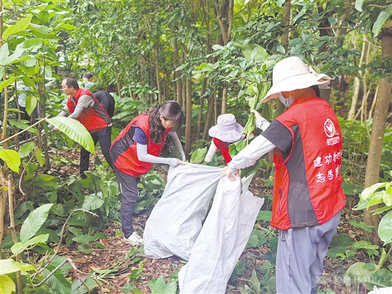 江門市科協(xié)工作人員在市林科所清理樹枝。
