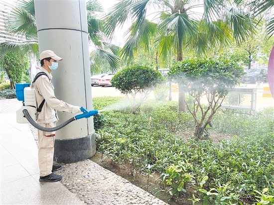 江門市婦幼保健院開展蚊蟲消殺行動(dòng)，打造“無蚊醫(yī)院”。