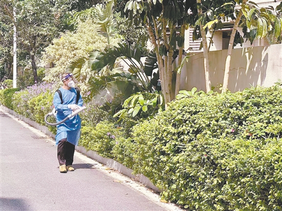 江門市江華小學對校園內(nèi)外進行蚊蟲消殺。