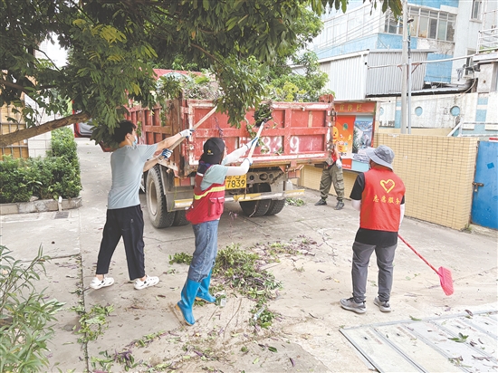 蓬江區(qū)在環(huán)市街道里村社區(qū)舊村片區(qū)開(kāi)展攻堅(jiān)行動(dòng)。圖為環(huán)境整治組工作人員清理野生綠植。任佳燕