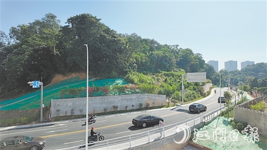 廣場西路延長線南段的通車讓周邊居民的出行更加方便。