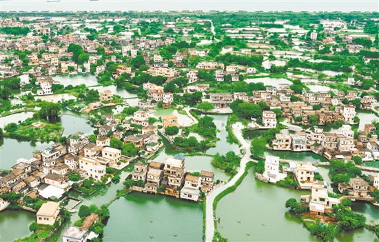 雙橋村統(tǒng)籌27個(gè)經(jīng)濟(jì)合作社的43公頃魚塘及耕地，試行“點(diǎn)狀供地”政策，采取“不征不轉(zhuǎn)”方式與央企華僑城集團(tuán)合作開發(fā)古勞水鄉(xiāng)農(nóng)旅項(xiàng)目，帶動(dòng)村集體增收約300萬元。